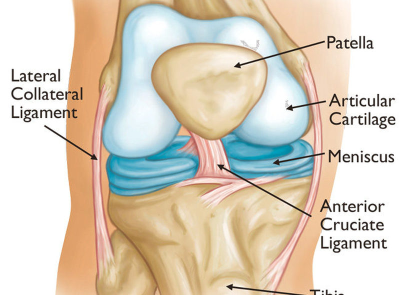 Więzadło krzyżowe przednie – ACL – rehabilitacja